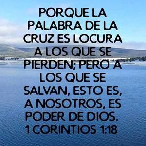 Meet your Posher, Lucia